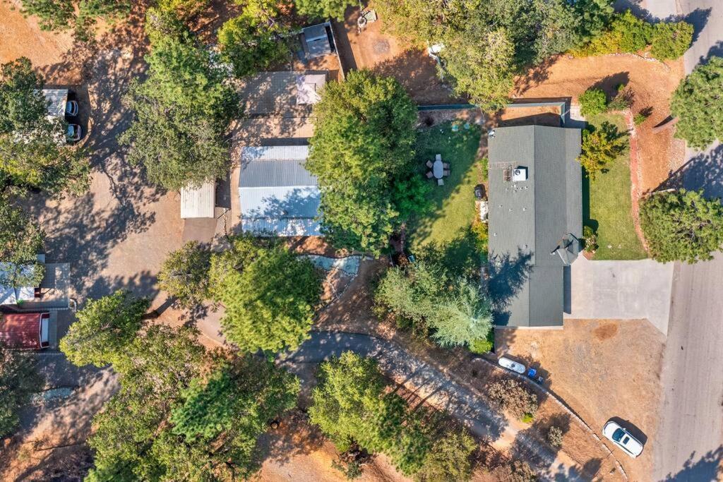 Acorn House - Charming House In Green Heaven With Pool Table With Lovely Backyard Oakhurst Zewnętrze zdjęcie